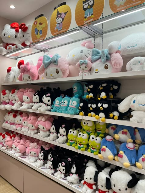 Shelves Aesthetic, Shinjuku Japan, Minho's Cats, Sanrio Hangyodon, Kitty Videos, Tokyo Photography, Sanrio Plushies, Sanrio Things, Sanrio Store