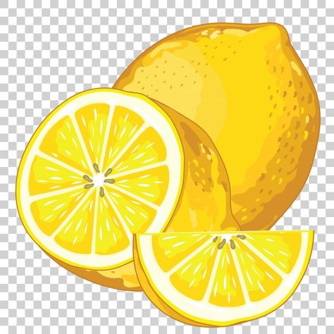 Lemon isolated on transparent Premium Ve... | Premium Vector #Freepik #vector #food #leaf #fruit #health Lemon Pictures, Lemon Drawing, Fruit Art Drawings, Lemon Set, Iced Green Tea, Lemon Painting, Lemon Art, Fruit Illustration, Fruit Painting