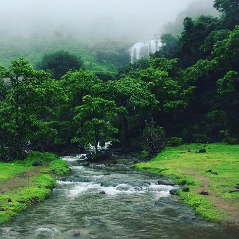 A beautiful site!! Magnificent view on our way to #Rajmachi #Fort #travel #nature #naturalbeauty  #fundays Rajmachi Fort, Lord Photo, Driving Photography, Beautiful Places Nature, Beautiful Sites, Beautiful Nature Pictures, African American History, India Travel, Nature Pictures