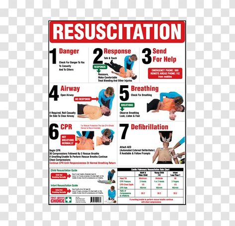 Cardiopulmonary Resuscitation, Brand Advertising, Display Advertising, First Aid Supplies, Cpr, Free Sign, Color Help, First Aid, Transparent Png