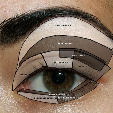 Tutorial & Reference - Eye Diagram, Parts of the Eye, Basic Eye Makeup Basic Eye Makeup, Make Up Guide, Make Up Mata, Teknik Makeup, Parts Of The Eye, Smink Inspiration, Blue Eye Makeup, Eye Make, All Things Beauty