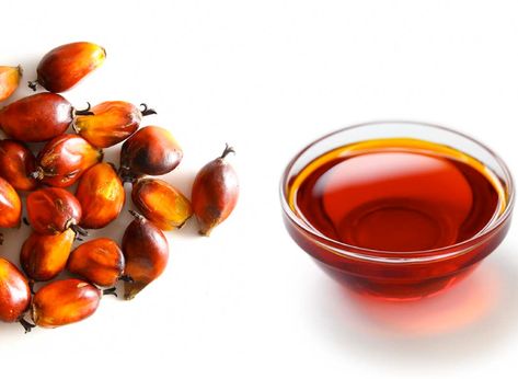 Red Palm Oil Benefits - clean cuisine Palm Oil Benefits, Red Palm Oil, Red Palm, Palm Kernel Oil, Edible Oil, Healthy Oils, Oil Benefits, Oil Uses, Oil Plant