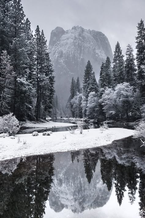 Snow Mountains, Snowy Forest, Winter Scenery, Winter Vibes, Winter Aesthetic, Winter Photography, Winter Landscape, Winter Scenes, In The Middle