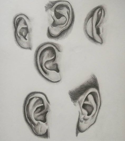 #ears #drawing #followformore Ear Shading Drawing, Different Ears Drawing, Ear Pencil Drawing, Ears From Different Angles, Ears Shading, Ears Sketching, Ear Sketching, Eyes Different Angles, Ears Drawing Reference