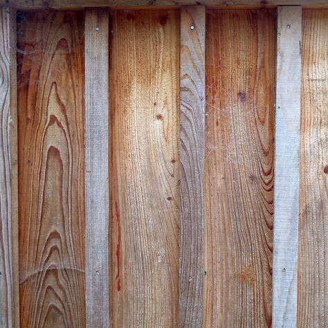 Larch board and batten cladding weathered for 18 months. Shed Cladding Ideas Exterior, Board And Batten Fence, Board On Board Cladding, Shed Cladding Ideas, Burnt Wood Cladding Exterior, Larch Cladding Exterior, Timber Cladding Exterior Facades, Vertical Timber Cladding Exterior, Wooden Cladding Exterior