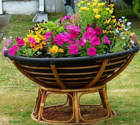 Flower bed from an old papasan chair Potted Plants Patio, Beautiful Gardens Landscape, Garden Vertical, Chair Planter, Beach Glass Crafts, Wheelbarrows, Plant Tips, House Organisation, Planting Ideas