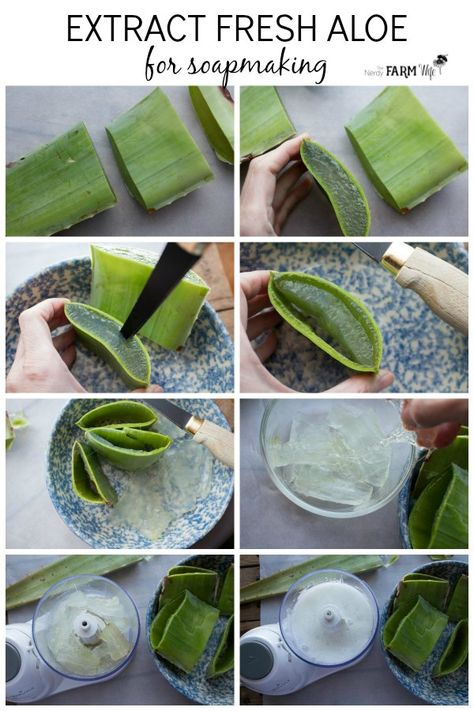 Learn how to make aloe vera soap using fresh aloe and natural ingredients. Also included is a cold process soap recipe for aloe vera facial soap bars designed to be extra gentle on your face. Aloe Vera Soap Recipe, Aloe Vera Recipes, Facial Soap Bar, Aloe Vera Soap, Aloe Vera Facial, Savon Diy, Săpunuri Handmade, Cold Process Soap Recipes, Fresh Aloe Vera