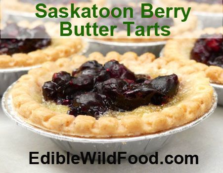 Saskatoon Berry Butter Tarts, Saskatoon Berry Tarts, Butter Tarts Recipe, Berry Butter, Plant Recipes, Saskatoon Berry, Tarts Recipe, Tart Filling, Berry Tart