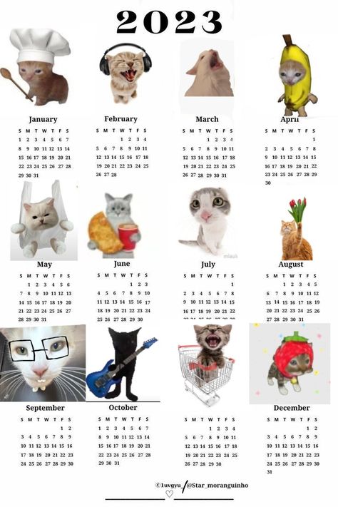 Cats Cat Calendar 2023, Cat Calendar, Calendar 2023, Cute Poster