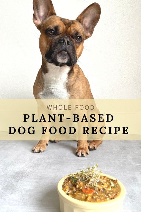 We believe in the power of plants and have been eating a balanced whole food plant-based diet for over two decades. Naturally, we wanted to ensure that whatever we feed our four-legged friend would also fit with our values. So we wondered – could dogs also thrive on plants just like humans do? It turns out that, YES, dogs can eat a plant-based diet and thrive. Try this recipe and and be confident in creating more plant-based recipes for dogs. #vegan #plantbaseddogfood #plantbaseddietfordogs Recipes For Dogs, Vegetarian Dog Food Recipe, Vegan Dog Food, Dog Food Recipe, Diet Diary, Urban Dog, Raw Vegan Diet, Diy Dog Food, Black Eyed Pea