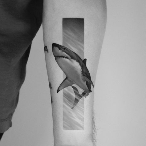 Beautiful detailed tattoo of a great white shark White Shark Tattoo, Great White Shark Tattoo, All About Sharks, Thailand Tattoo, Shark Tattoo, Shark Tattoos, Detailed Tattoo, White Tattoo, White Sharks