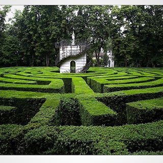 @botanicaetcetera HOUSE AND GARDENVilla Pisani Maze....Italy📸? #villapisani #maze #garden #green #architecture #giardino #lifestyle #elegant #explore #chic #nature #old #interiordesign #architecture #home #design #hedges #villa #antique #landscapearchitecture #style #stylish #rich #green #clipped Snow White Retelling, Maze Garden, Hedge Maze, Amazing Maze, Heroes And Villains, Topiary Garden, House And Garden, Garden Villa, Green Architecture