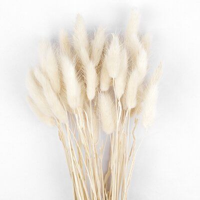 Dry Flower Arrangements, Lagurus Ovatus, Dried Floral Arrangements, Dried Lavender Flowers, Flower Confetti, Dried Eucalyptus, Different Design Styles, Bunny Tails, Dry Flower