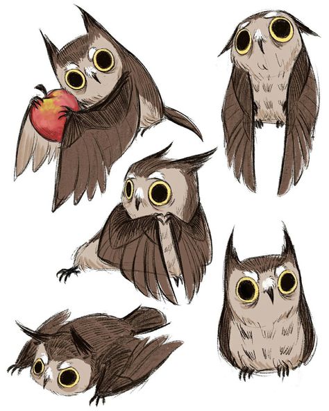 Owl Illustration, Hedge Witch, Owls Drawing, 캐릭터 드로잉, Owl Art, Bird Drawings, Creature Concept, Cute Animal Drawings, Move Forward