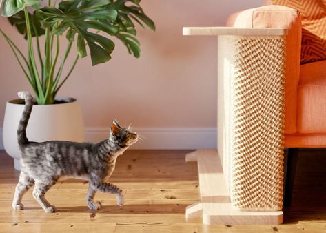 Introducing Cat-e-Corner by Hilde & Phil, Elegant Solution For Protecting Your Furniture Corner Couch, Living Room Setup, Interesting Products, Cat Scratchers, Apt Ideas, Cat Ideas, Cat Condo, Natural Sisal, Side Table Design