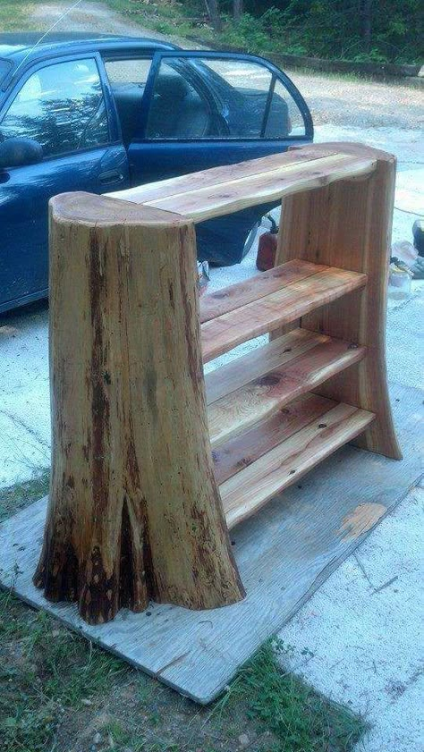 Repurpose tree trunk into bookcase Horizontal Shelves, Stump Ideas, Bookshelf Inspiration, Wood Bookshelf, Tree Stumps, Woodworking For Kids, Log Furniture, Cedar Trees, Diy Holz