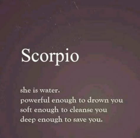 Zodiac Mind Scorpio, Zodiac Quotes Scorpio, Astrology Scorpio, Scorpio Women, Scorpio Traits, Scorpio Love, Scorpio Zodiac Facts, Scorpio Quotes, Zodiac Signs Scorpio