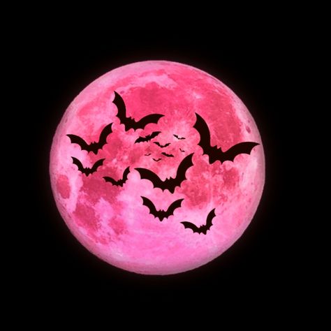 Pink And Black Bats Wallpaper, Halloween Moon Painting, Pink Halloween Aesthetic Icons, Pink Bat Aesthetic, Bat Aesthetic Pfp, Spooky Pink Wallpaper, Bat Icon Aesthetic, Spooky Pink Aesthetic, Dark Pink Halloween Aesthetic