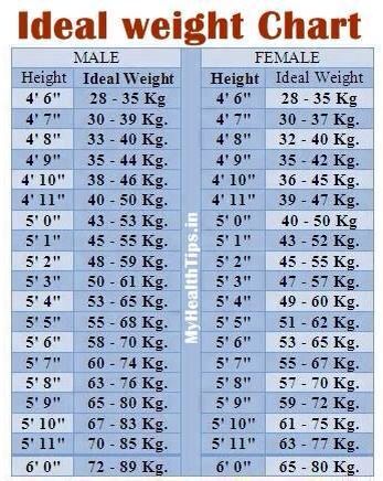 Ideal weight chart Hight And Weight Chart, Height To Weight Chart, Weight Chart For Men, Ideal Weight Chart, Weight Charts For Women, Weight For Height, Weight Chart, Weight Charts, Ideal Body Weight