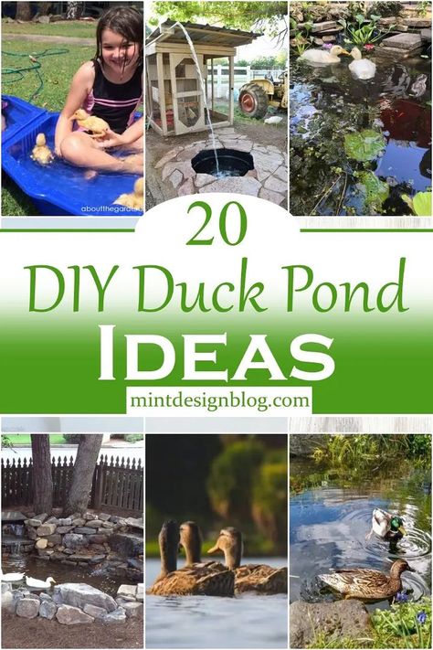 Diy Duck Pond, Duck Pond Ideas, Serene Backyard, Diy Ponds Backyard, Backyard Ducks, Pond Kits, Diy Water Feature, Chicken Nesting Boxes, Squirrel Feeder