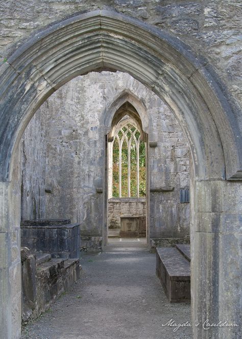 Muckross Abbey Muckross Abbey, Ross Castle, Ireland Destinations, Beautiful Ruins, Irish Sea, Old Churches, Republic Of Ireland, Ireland Travel, Another World