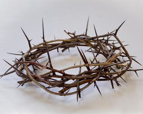 Crown of Thorns Crown Of Thorns Aesthetic, Jesus Art Drawing, Jesus Crown, Crown Aesthetic, Crown Photos, Prince Of Darkness, The Black Panther, God Is Amazing, True Detective