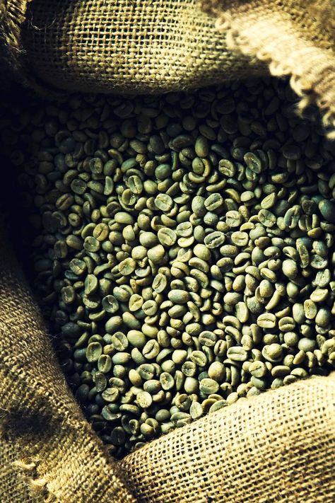 Green Coffee Beans Coffee Bean Aesthetic, Coffee Beans Aesthetic, Dream Bean Coffee Shop, Green Coffee Beans Photography, Coffee Beans Photography, Coffee Process, Robusta Coffee, Green Coffee Bean, Clay Studio