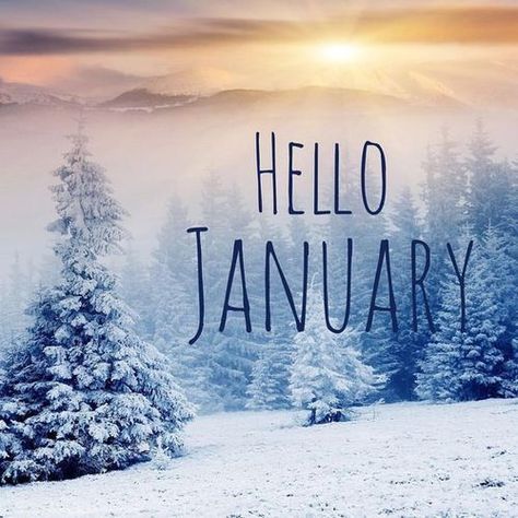 Hello Novembre, Hello January Quotes, January Pictures, January Images, Winter Cupcakes, Neuer Monat, January Quotes, Hello January, Seasons Months