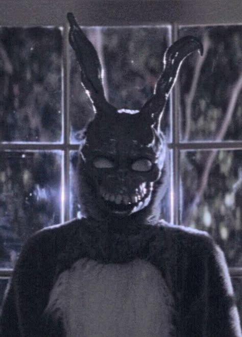 Donnie Darko Pfp, Donnie Darko Frank, Bunny Mask, Movie Journal, Donnie Darko, Film Journal, Jake Gyllenhaal, A Bunny, Film Stills