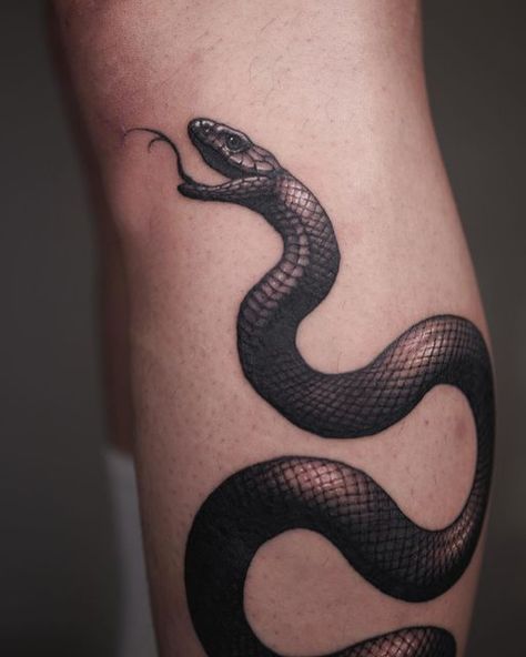 T A E S I N / 泰 䰠 on Instagram: "🐍" Viper Tattoo Design, Viper Tattoo, Python Tattoo, Snake Images, Snake Tattoo, May 13, Color Tattoo, Cute Tattoos, Tattoo Design