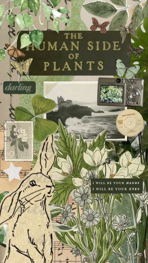 Botany Wallpaper Aesthetic, Cottagecore Plants Aesthetic, Green Plants Aesthetic Wallpaper Vintage, Botany Aesthetic Wallpaper, Aesthetic Wallpaper Vintage Green, Green Plant Aesthetic Wallpaper, Japanese Green Aesthetic, Asthetic Wallper Green, Vintage Plant Aesthetic Wallpaper