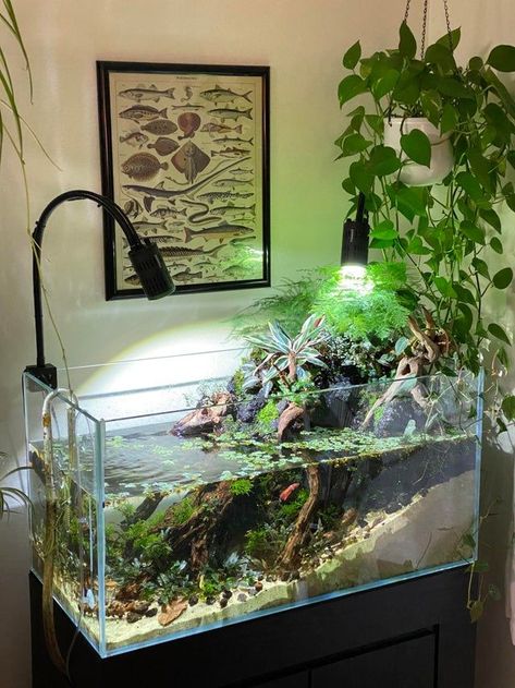 Cool Fish Tank Decorations, Anatomical Illustration, Biotope Aquarium, Fish Tank Themes, Fish Tank Terrarium, Cool Fish Tanks, Diy Fish Tank, Aquascape Design, Fish Tank Design