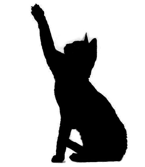 reach Cat Shilouette Drawing, Cat Reaching Tattoo, Cat Reaching Up Drawing, Cat Reaching Up, Black Cat Silhouette Halloween, Siluette Drawing, Cat Silloute, Halloween Cat Silhouette, Cat Reaching