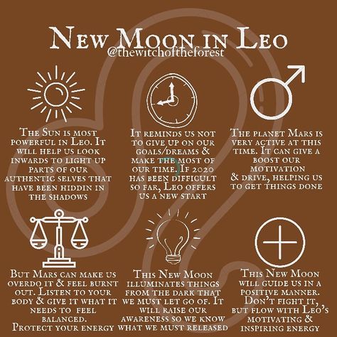 New Moon Blessings, Leo New Moon, New Moon In Leo, Leo Moon, Moon Date, Moon In Leo, Spiritual Awakening Signs, Sacred Circle, Astrology Leo