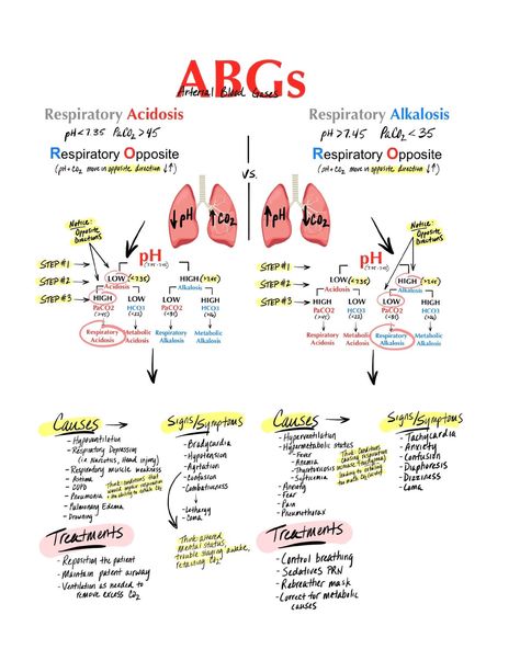 Medsurg Nursing, Nursing Printables, Acidosis And Alkalosis, Simple Nursing, Nursing School Studying Cheat Sheets, Nurse Essentials, Emt Study, Paramedic School, Clinical Chemistry