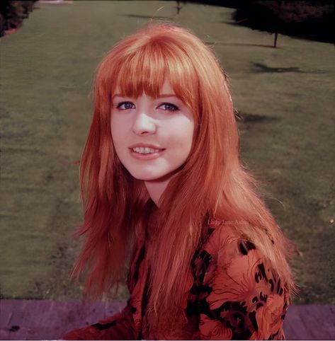 Shrimptons, Boyds, Asher, Faithfull And More Beatles Girl, Jane Asher, 60s Hair, Marianne Faithfull, 70s Hair, Lily Evans, Vintage Icons, Summer Night, Dream Hair