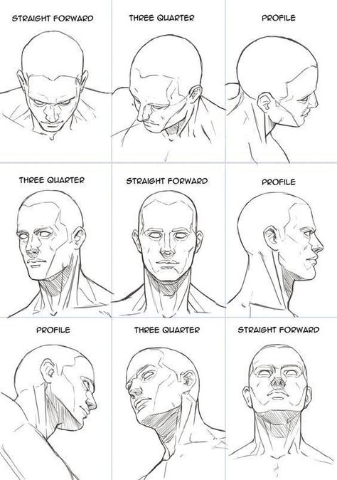 Male Face Drawing, Drawing The Human Head, Neck Drawing, Head Anatomy, Face Anatomy, Pose Model, 얼굴 드로잉, Anatomy Tutorial, Human Anatomy Drawing