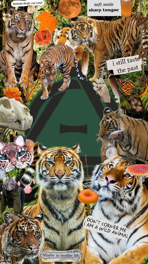 Tiger therian board! dnr. #therian #tiger Tiger Wallpaper Aesthetic, Aesthetic Tiger Wallpaper, Cute Tiger Wallpaper Aesthetic, Tiger Therian, Tiger Print Wallpaper Aesthetic, Tiger Collage, Tiger Background Wallpapers, Tiger Wallpaper, Maybe In Another Life