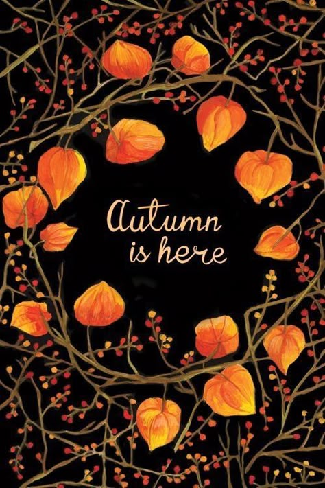 seasonalwonderment: Autumn 22 September, Orange Leaves, Have Inspiration, Autumn Beauty, Seasons Of The Year, Fall Favorites, Autumn Aesthetic, Fall Wallpaper, Pics Art