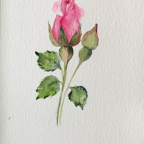 Throwback to this quick loose magnolia practice.👩‍🎨 #throwbackthursday . Brush and Paper @etchr_lab Paints @shinhanart.official… | Instagram Flowers For Valentines, Flower Painting Videos, Learn Watercolor Painting, Watercolor Flowers Tutorial, Diy Watercolor Painting, Watercolor Flower Art, Watercolor Painting Techniques, Rose Bud, Watercolor Flowers Paintings