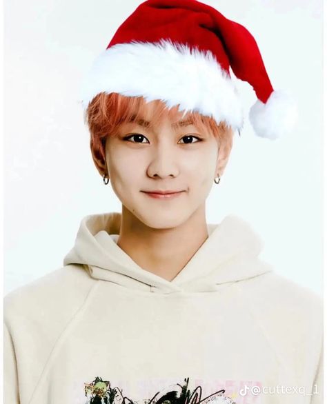 Kpop Hat, Christmas Profile Pictures, Silly Pics, New Years Hat, Merry Chistmas, 17 Kpop, Christmas Decorations For Kids, Christmas Icons, Christmas Mood