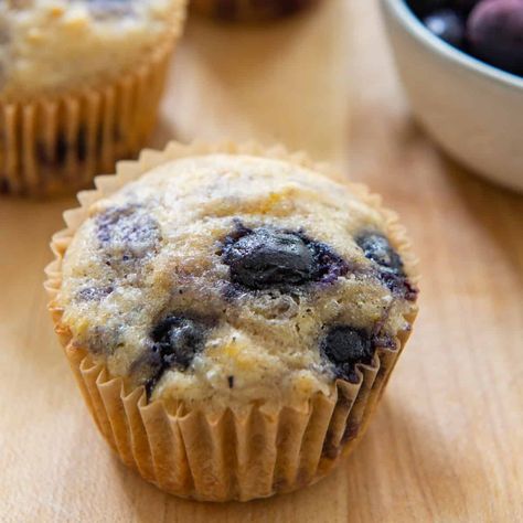 Sourdough Discard Blueberry Muffins Discard Muffins Blueberry, Soirdoigh Discard Recipes, Sour Dough Discard Blueberry Muffins, Sourdough Starter Blueberry Muffins, Healthy Sourdough Discard Muffins, Discard Mini Muffins, Sourdough Blueberry Muffins Recipe, Blueberry Muffins Sourdough Discard, Einkorn Blueberry Muffins