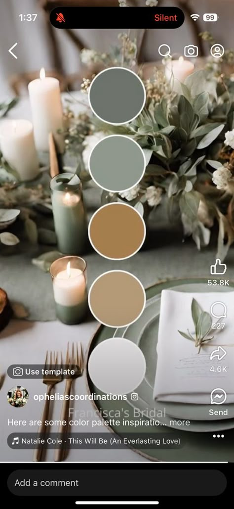 Eucalyptus Color Scheme, Olive Green And Taupe Wedding, Sage Green And Wood Wedding, Sage And Tan Wedding, Wedding Color Schemes Gold, Green Brown Wedding, Champagne Color Palette, Cream Wedding Colors, Brown Wedding Themes