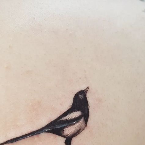 E M J A Y  ॐ on Instagram: "Always a good day with a magpie ✨️ very behind on admin right now, will be catching up as quick as i can 🤍

#magpie #magpietattoo #birdtattoo #teenytattoo #smalltattoo #finelinetattoo #realismtattoo #microrealism #blackwork #Leicestertattoo #norwichtattoo" Blackbird Tattoo, Magpie Tattoo, Realism Tattoo, M J, Birds Tattoo, Fine Line Tattoos, Magpie, Black Bird, Blackwork