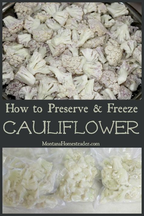 Have an abundance of cauliflower? Here's how we preserve and freeze cauliflower to eat year round in our favorite recipes! | Montana Homesteader How To Preserve Cauliflower, How To Freeze Cauliflower, Preserve Cauliflower, Freezing Cauliflower, Freezing Broccoli, Freeze Cauliflower, Freeze Veggies, Rose Hip Jelly, Freezing Veggies