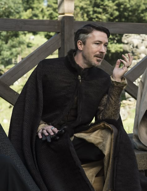 Petyr Baelish. https://se.pinterest.com/lovebooksabove/game-of-thornes-jewellery/ Lord Baelish, Ramsey Bolton, Petyr Baelish, Game Of Thrones Costumes, Project Blue Book, Aidan Gillen, Hbo Game Of Thrones, Gra O Tron, Game Of Thrones Fans