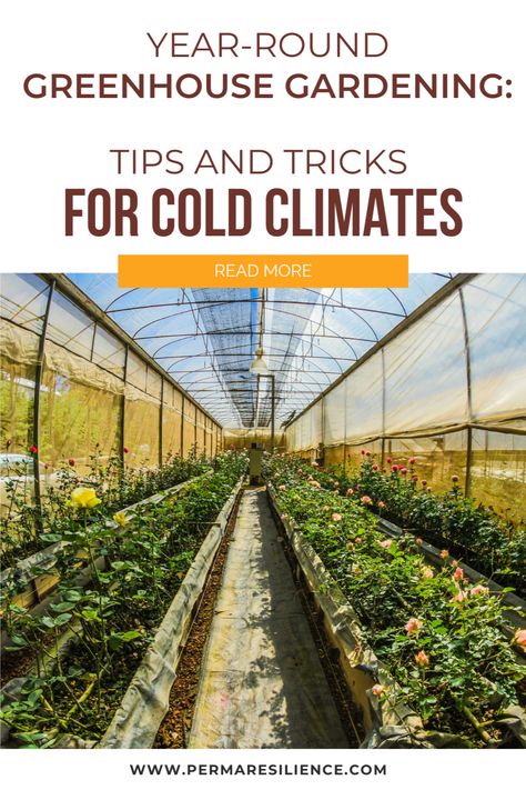 Greenhouses For Cold Climates, Greenhouse In Michigan, Greenhouse For Cold Climates, Year Round Greenhouse Canada, Cold Climate Greenhouse, Inground Greenhouse, Canadian Greenhouse, Starting A Greenhouse, Year Round Greenhouse