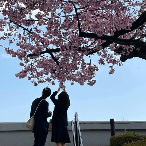 Japan Couple Aesthetic, Soft Couple, Haruki Murakami Books, Seoul Korea Travel, Me Core, 사진 촬영 포즈, Japan Aesthetic, Ulzzang Couple, Apple Watch Wallpaper