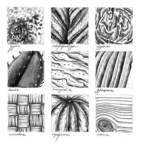 Texture Samples Drawing, Drawing Textures With Pencil, Draw Texture Pencil, Rough Texture Drawing, Graphite Texture Drawing, Visual Texture Drawing, Texture Drawing Ideas, Boho Bulletin Board, Abstract Charcoal Art