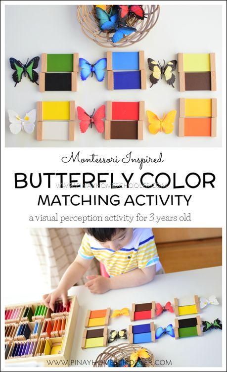 Montessori butterfly color matching activity for toddlers and preschoolers Butterflies Activities, Montessori Color, Montessori Lessons, Butterfly Coloring, Montessori Art, Montessori Homeschool, Montessori Practical Life, Montessori Toddler Activities, Toddler Classroom